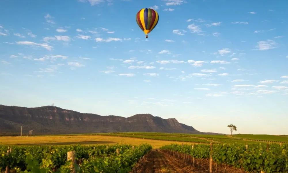 Balony na ogrzane powietrze napełniane o świcie nad winnicami Hunter Valley